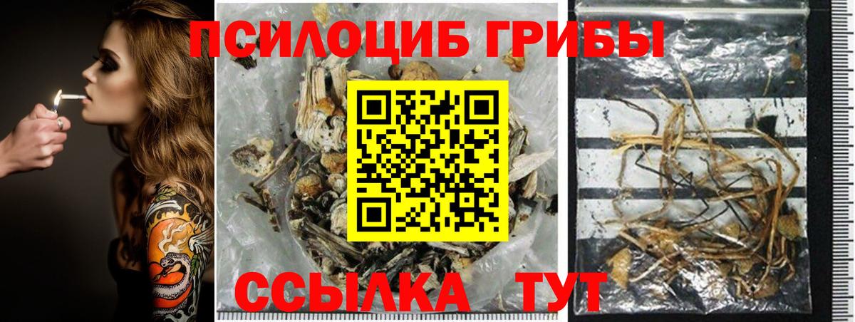 Галлюциногенные грибы прущие грибы Сердобск